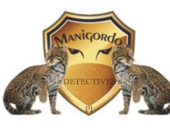 Manigordo Group Investigations - Agentie de Detectivi Particulari