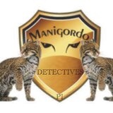 Manigordo Group Investigations - Agentie de Detectivi Particulari